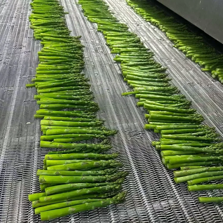 Selected Frozen Green Asparagus