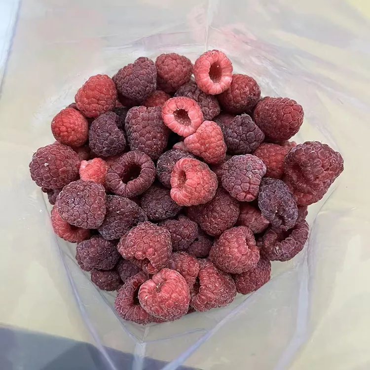 प्रीमियम आईक्यूएफ साबुत जमे हुए लाल रास्पबेरी