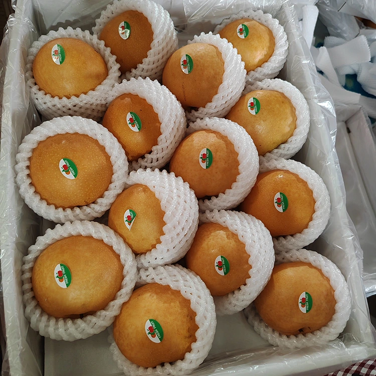 प्रीमियम शिंगो नाशपाती