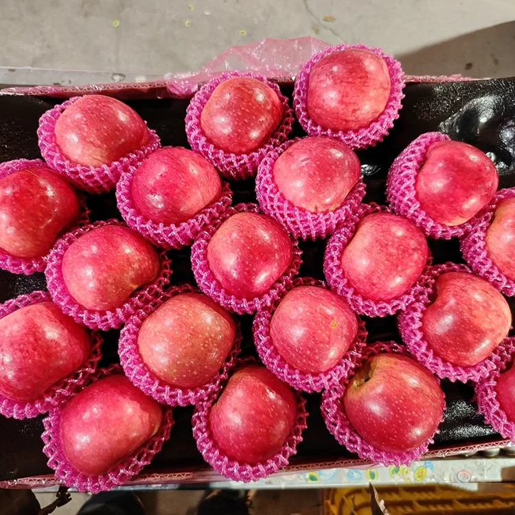 सुपीरियर ताज़ा जिगुआन सेब